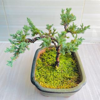 (Category: ) located in . Submitted by xinmei96 (Listing ID 1152487966, Image 1). Description: .