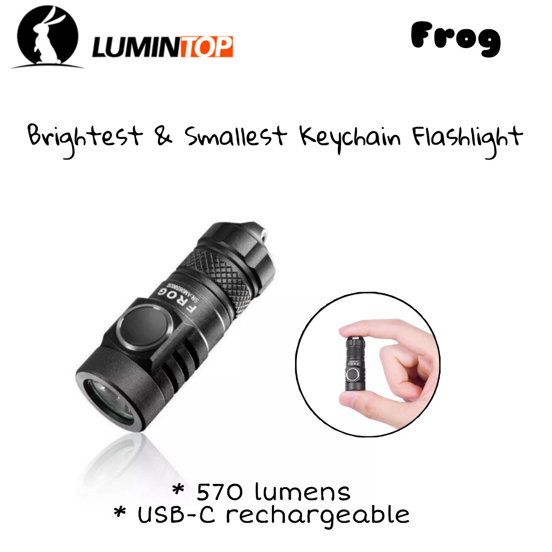Frog keychain hotsell light