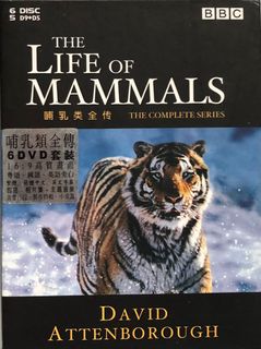 （分類：）位於 。 由 cmgogo 提交（商品編號 1152399732，圖片 1）。簡介： 。