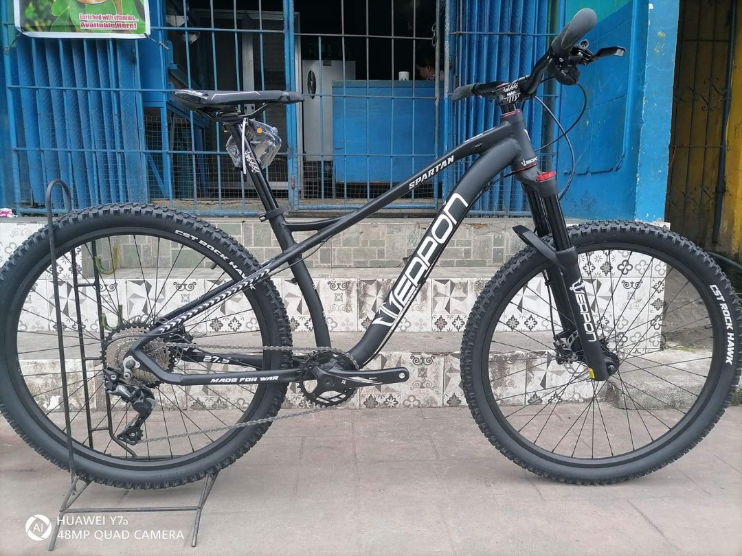 Weapon spartan mtb frame clearance