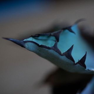 （分類：）位於 。 由 eowsos 提交（商品編號 1154342756，圖片 1）。簡介： 。