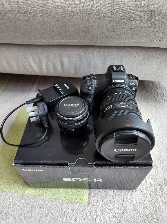 Canon EOS R with EF 2470mm f/2.8l ii USM, Photography, Cameras on