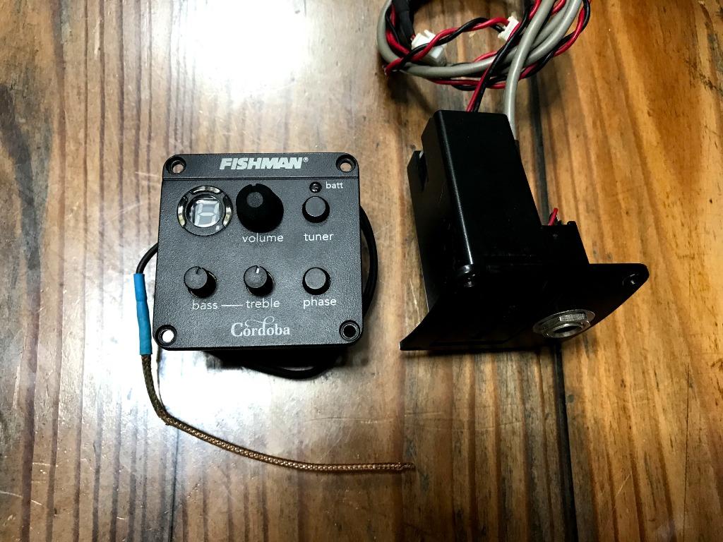 Fishman Isys+ Preamp Pickup Legit, Hobbies & Toys, Music & Media, Music