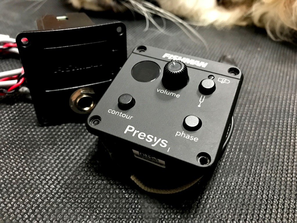 Fishman Presys1 Preamp Pickup Legit, Hobbies & Toys, Music & Media