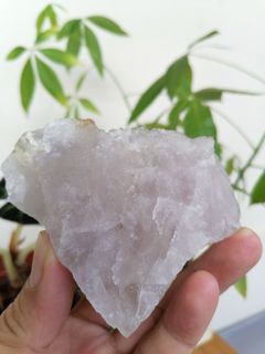 (Category: ) located in . Submitted by auralite2three (Listing ID 1154183443, Image 1). Description: .