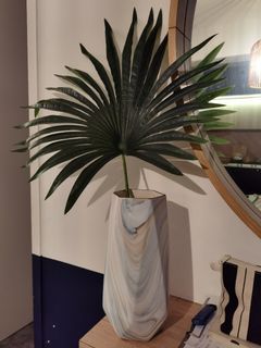 (Category: ) located in . Submitted by seedlove (Listing ID 1154310073, Image 1). Description: .