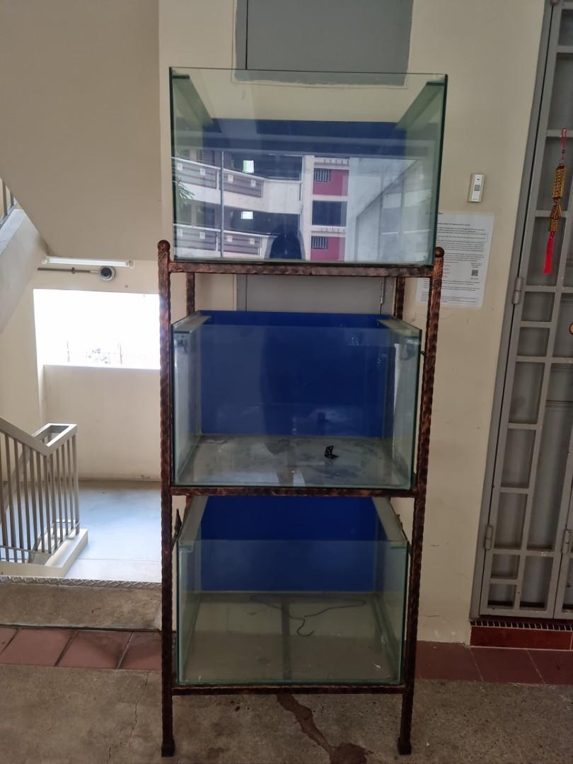Preloved fish tank S450/, Pet Supplies, Homes & Other Pet Accessories