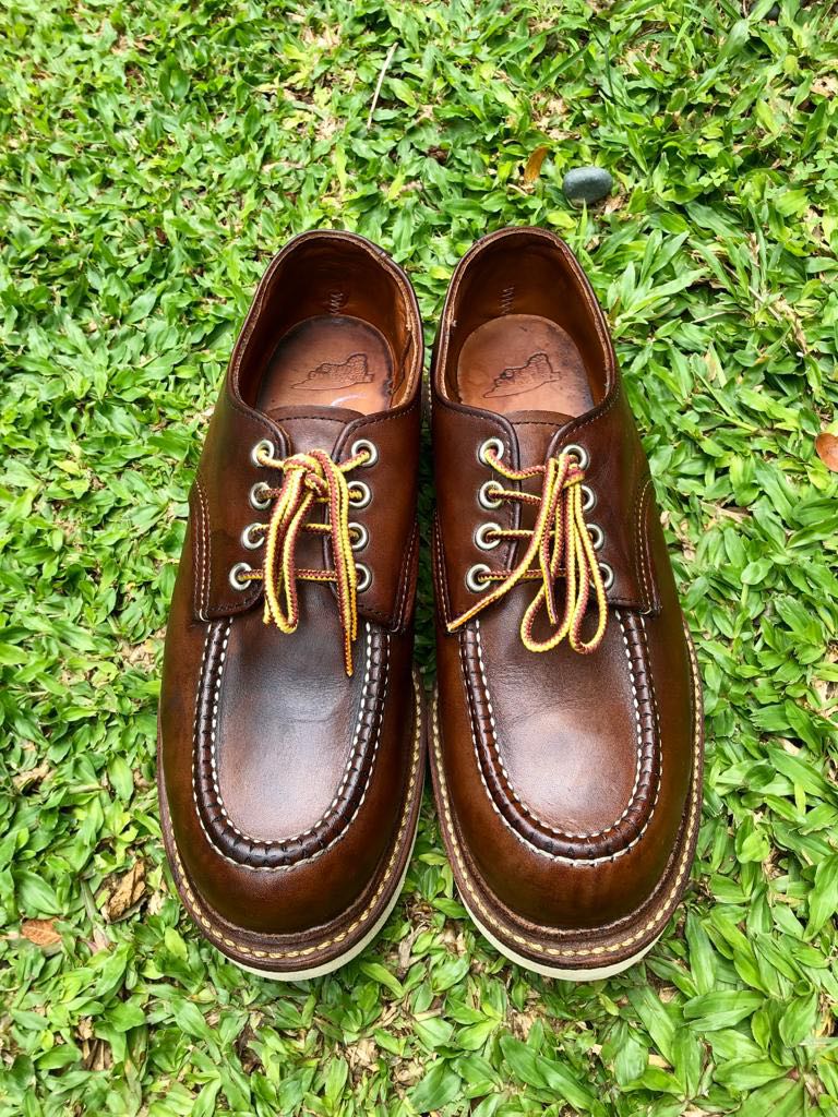 RED WING 8109 7D 直売オーダー paygration.com