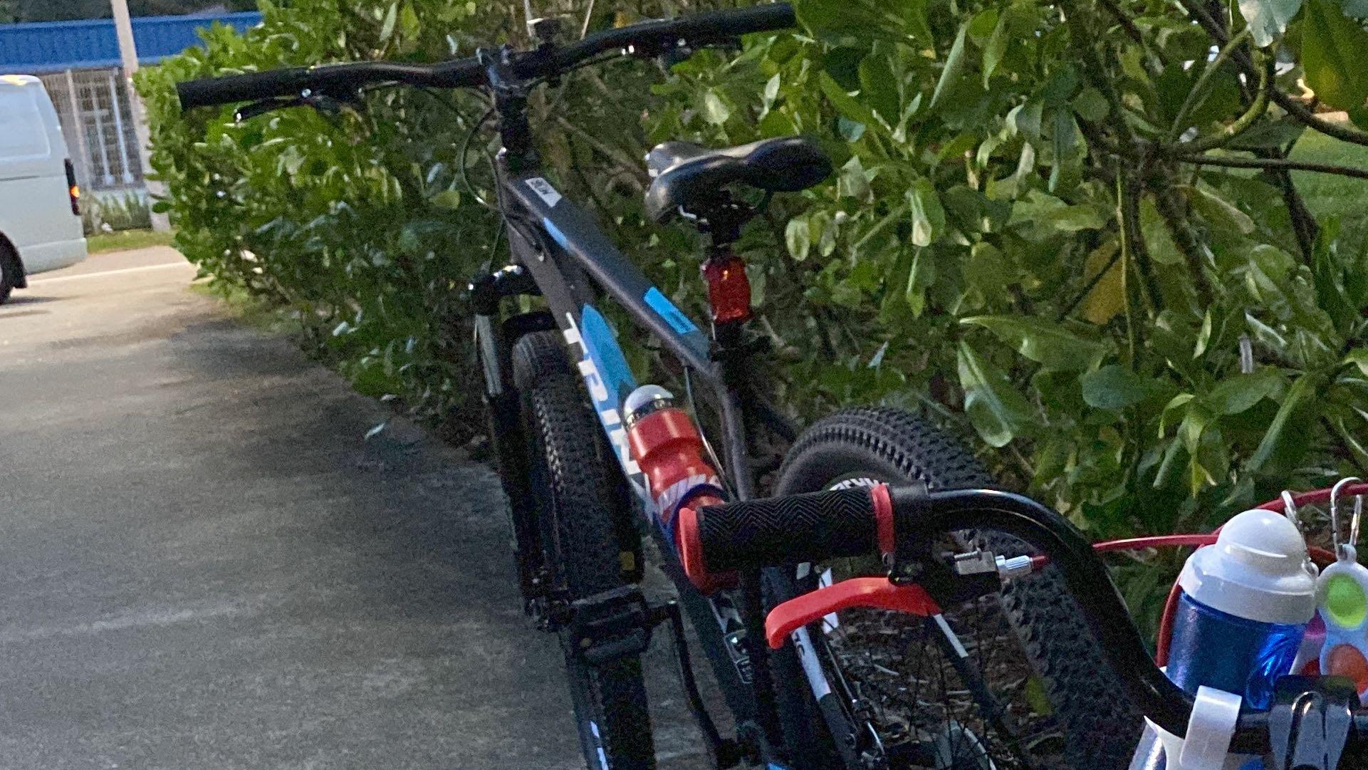 Trinx for sale online