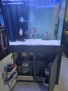 (Category: ) located in . Submitted by pavitragopal (Listing ID 1154467240, Image 1). Description: .
