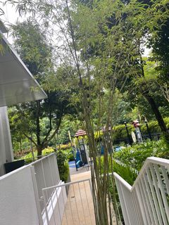 (Category: ) located in . Submitted by lml2101 (Listing ID 1154444067, Image 1). Description: .