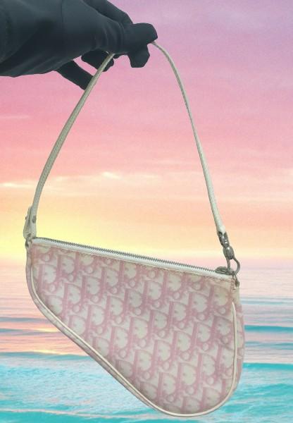 Christian dior trotter saddle bag sales