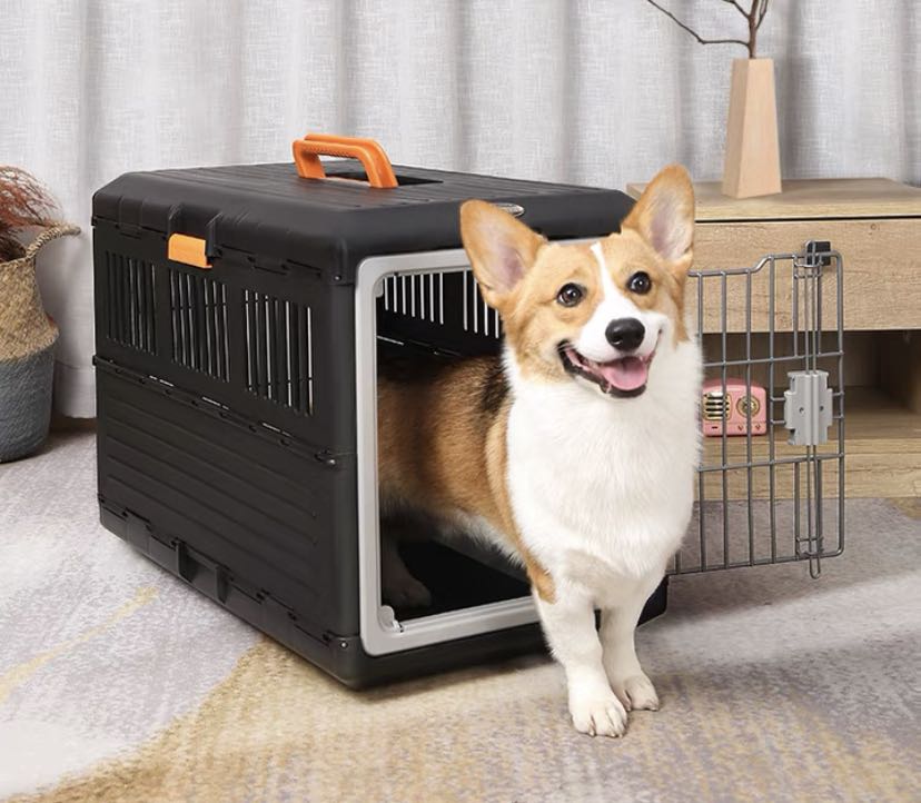 corgi crate