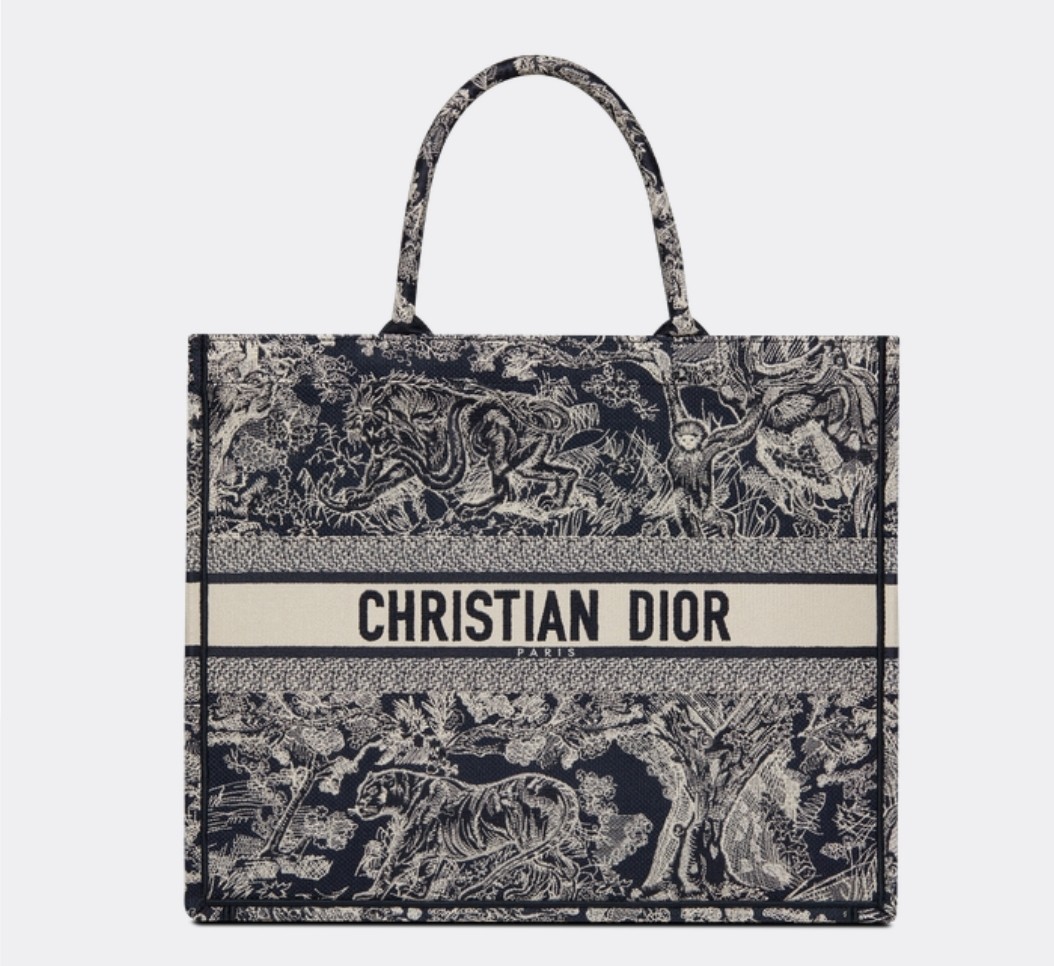 Dior book tote cheap price euro