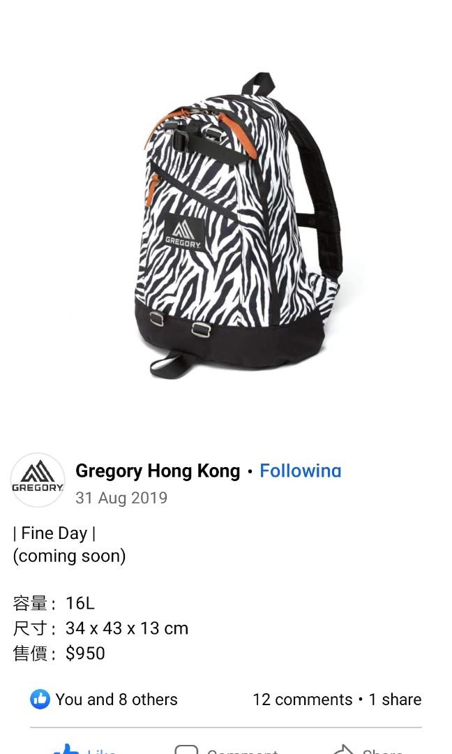 Gregory Fine Day 16l Men S Fashion Bags Backpacks On Carousell