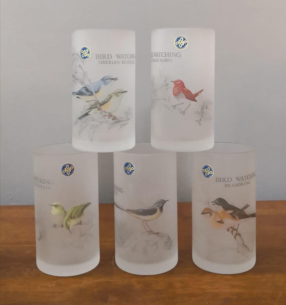Bird discount watching glasses
