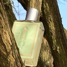 Imaginary authors saint new arrivals julep eau de parfum