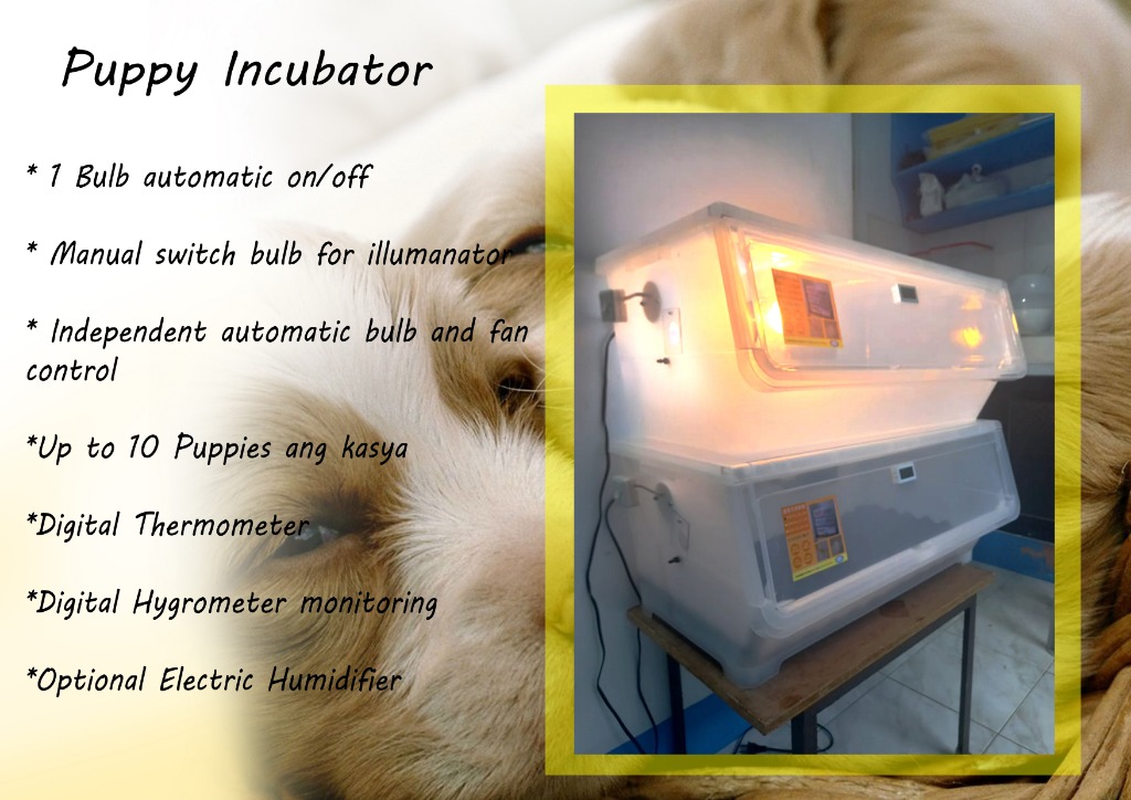 PUPPY INCUBATOR, Pet Supplies, Homes & Other Pet Accessories on Carousell