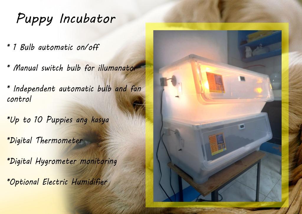 PUPPY INCUBATOR, Pet Supplies, Homes & Other Pet Accessories on Carousell
