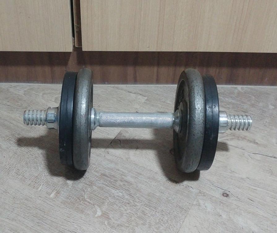 Dumbbells and plates for sale best sale