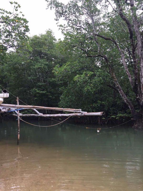 Guimaras, Property, For Sale, Lot on Carousell