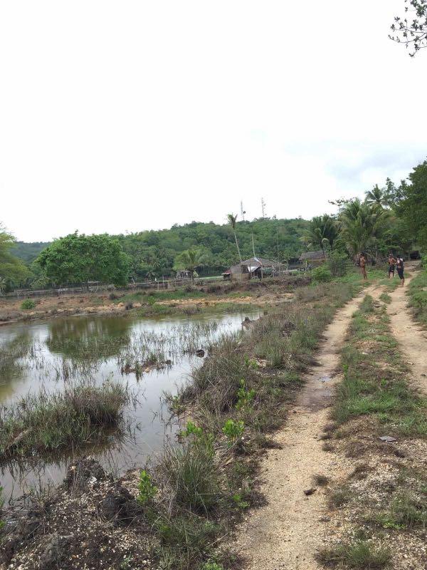 Guimaras, Property, For Sale, Lot on Carousell