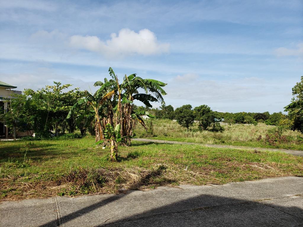 House for sale in Silang Metrogate , Cavite, Property, For Sale, House