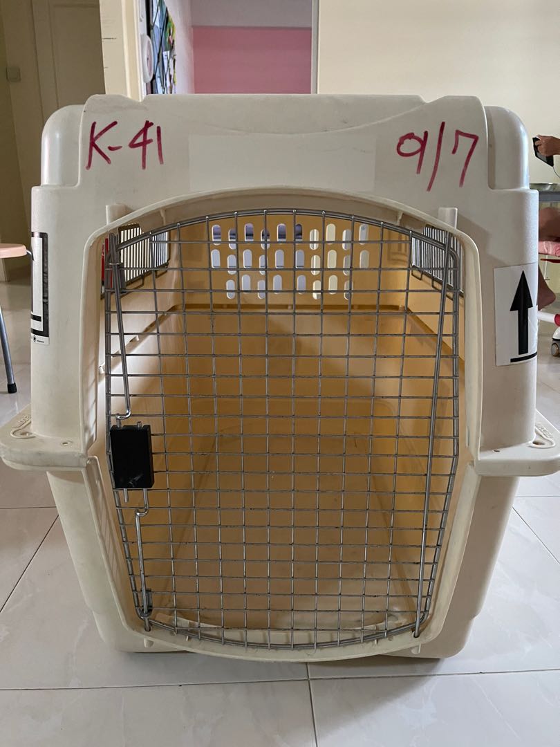 Large travel crate, Pet Supplies, Homes & Other Pet Accessories on Carousell