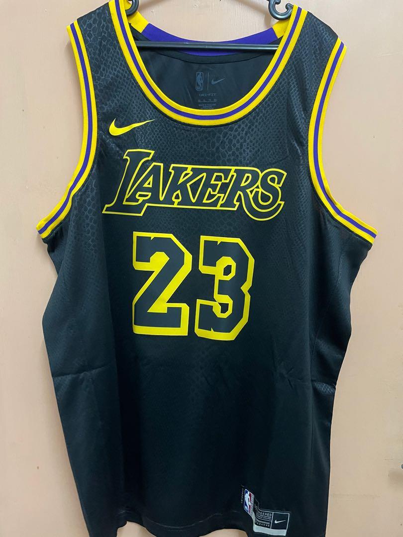 LeBron James NBA MVP Jersey, Men's Fashion, Activewear on Carousell