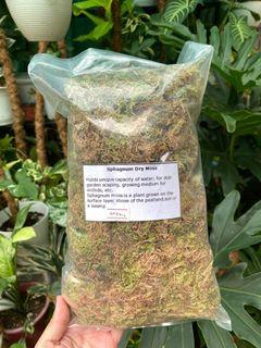 Sphagnum Dry Moss 100grams