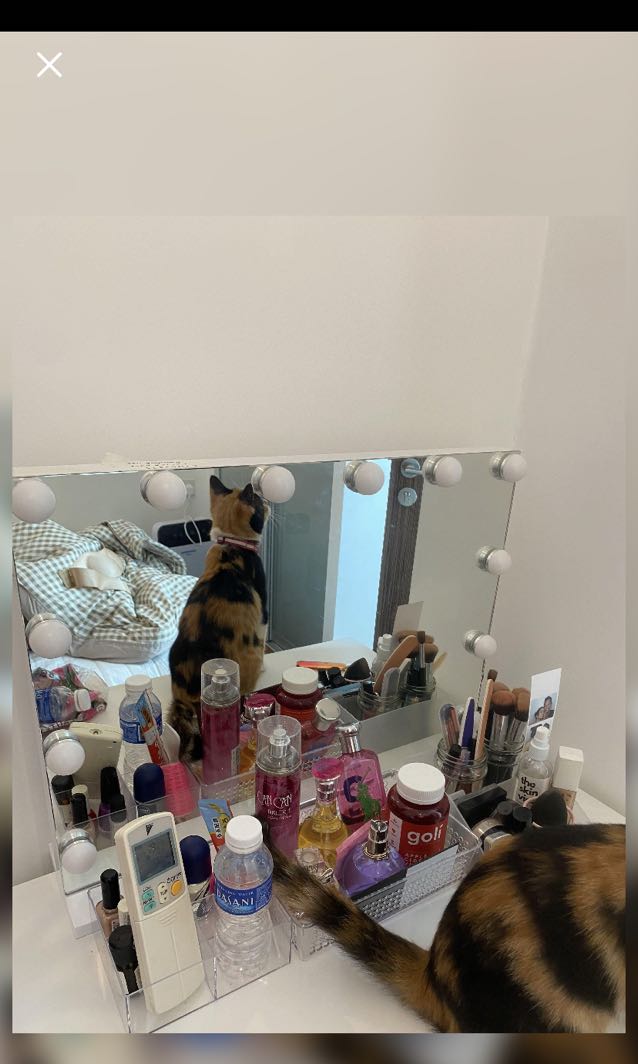 Vanity (light not working), Furniture & Home Living, Lighting & Fans