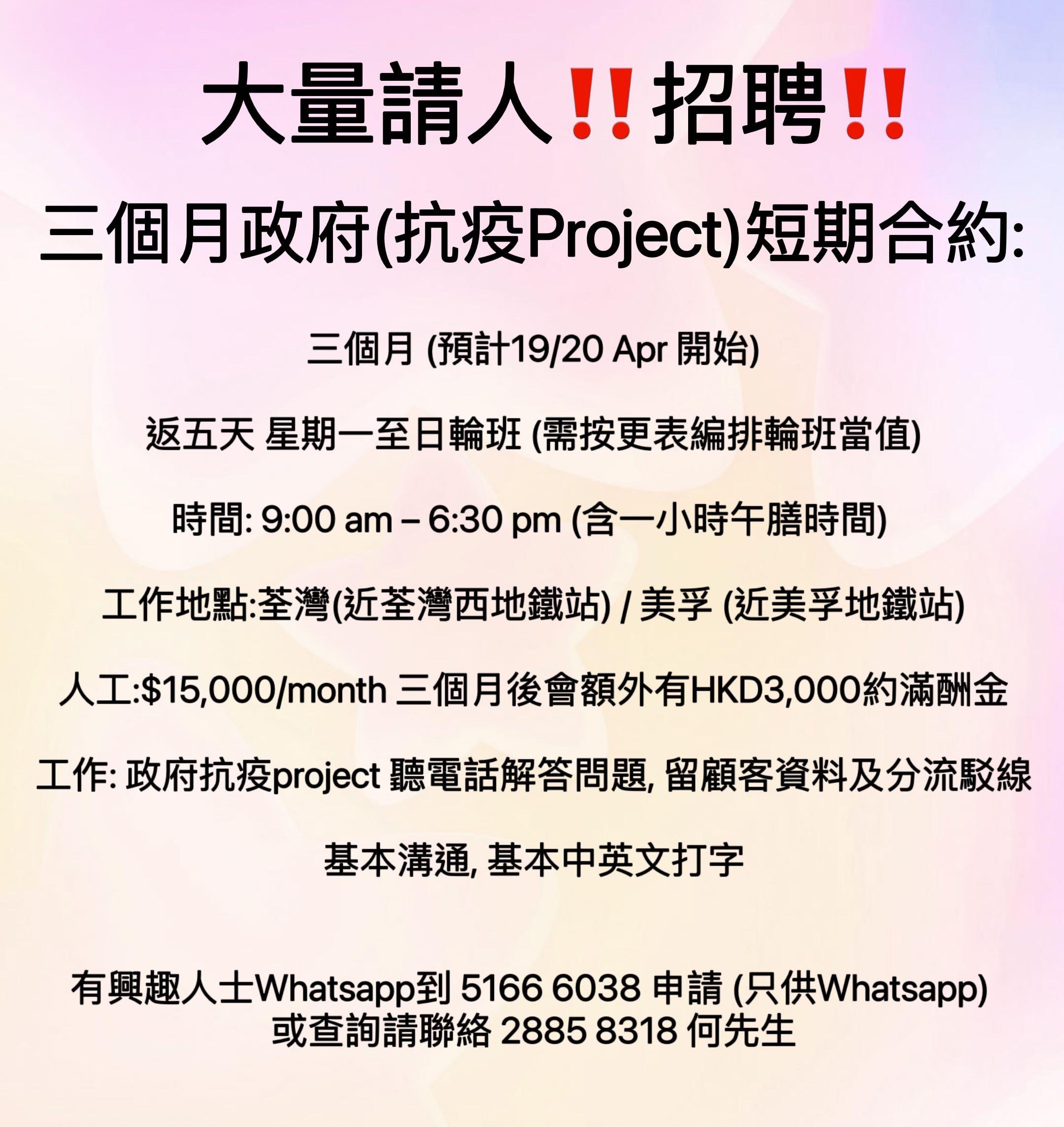 大量請人招聘三個月政府(抗疫Project)短期合約, 其他, 其他- Carousell