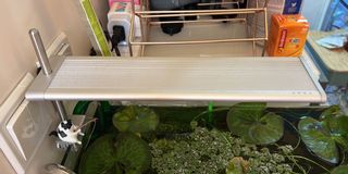 （分類：）位於 。 由 ccyeric 提交（商品編號 1154885555，圖片 1）。簡介： 。