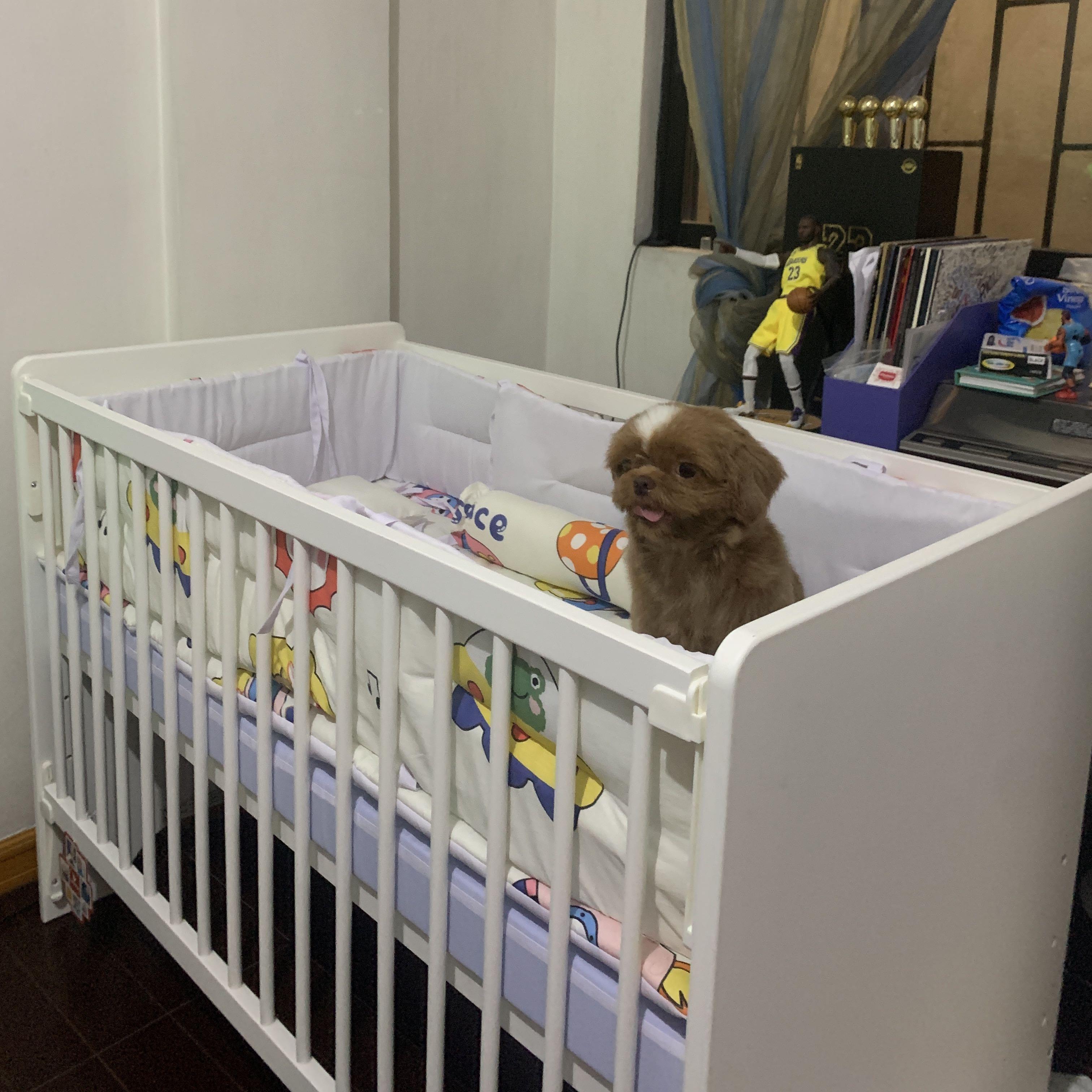Jual hotsell baby crib