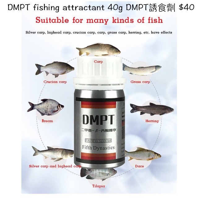 DMPT fishing attractant 40g DMPT誘食劑$40, 運動產品, 釣魚- Carousell