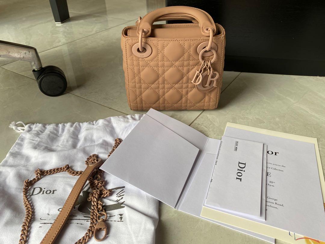 dior bag nude