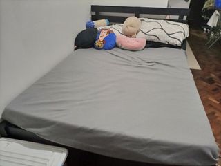 (Category: ) located in . Submitted by ethel8 (Listing ID 1154770350, Image 1). Description: .