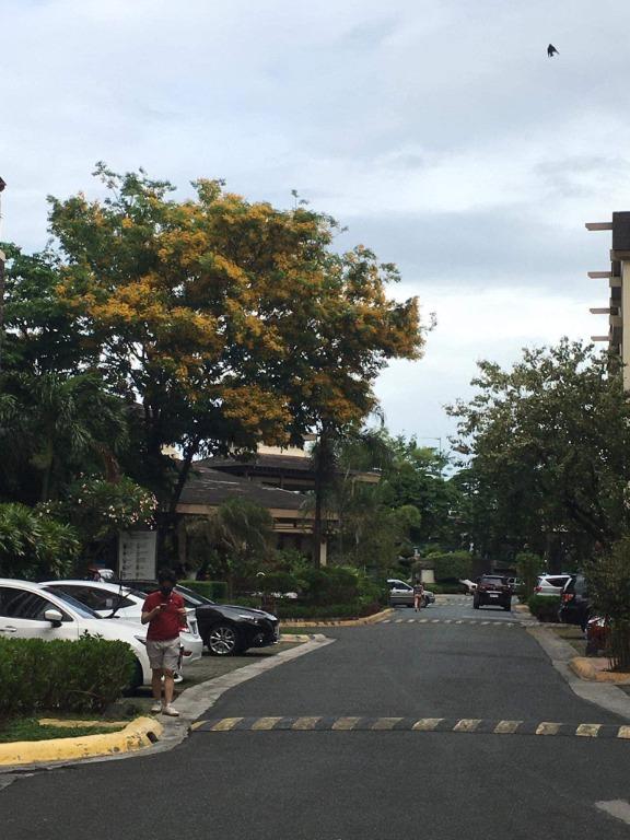 Raya Garden 3BR (Category: Apartments & Condos) located in Taguig. Submitted by lesrealtor_servantsoulrealty (Listing ID 1154779848, Image 3). Description: 3BR Raya Garden Condo Unit 5 mins to NAIA, 10-15mins to BGC, Makati and Ortigas. Parking is Excluding at 1.2M 75sqm located in Jakarta Bldg. with Rental Income Selling Price Php 7,500,000 net to the owner Safe and Secured Community .