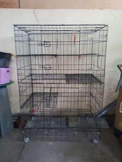 (Category: ) located in . Submitted by chairman87 (Listing ID 1154845469, Image 1). Description: .
