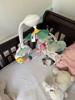 (Category: ) located in . Submitted by katie87 (Listing ID 1154772537, Image 1). Description: .