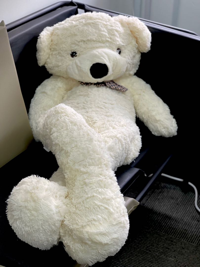 white teddy bear toy