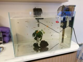（分類：）位於 。 由 lyy999 提交（商品編號 1155104329，圖片 1）。簡介： 。