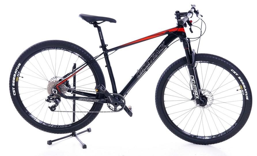 Cycletrack Bicycle MTB 29er 10 Speed