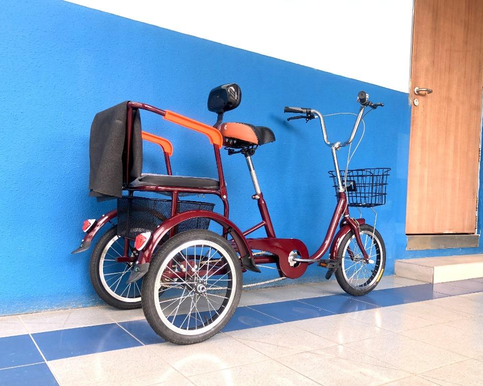 Trike with hotsell passenger seat