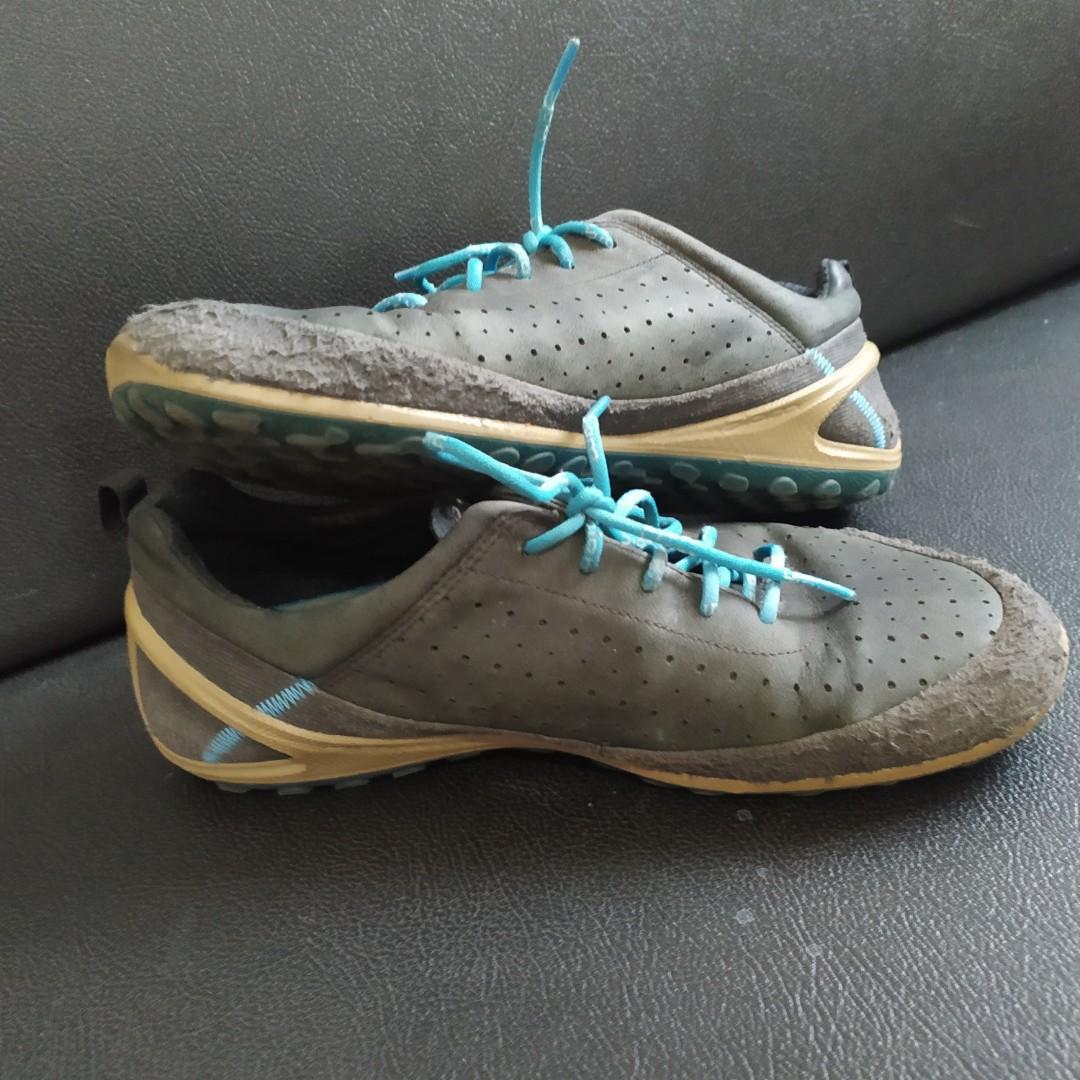 Ecco vivo clearance