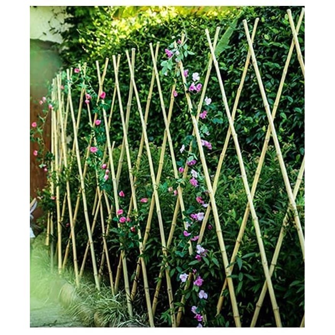 Expandable Bamboo Trellis Poles Lattice Fence Stretch, Furniture & Home