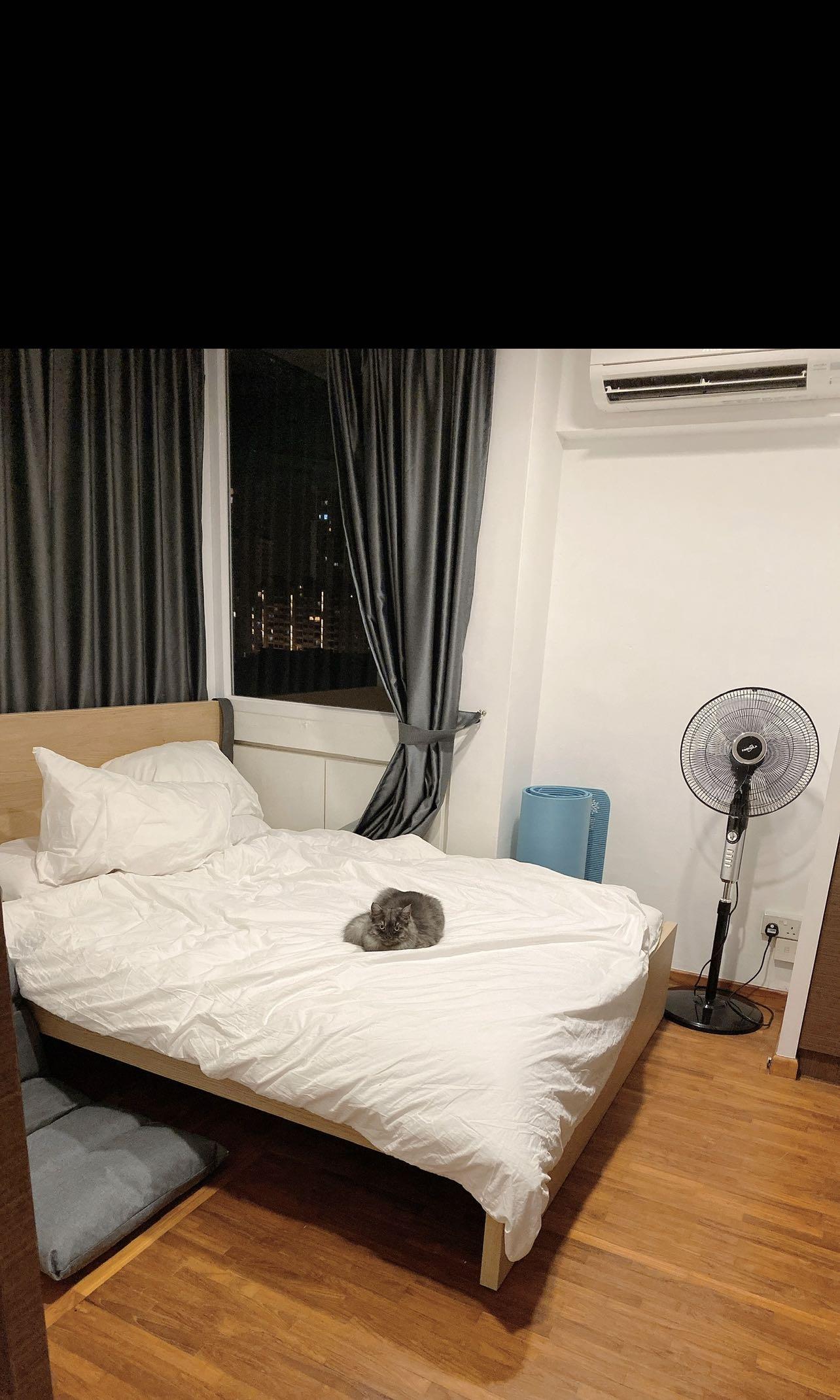 Ikea storage Bed Frame + free mattress , Furniture & Home Living