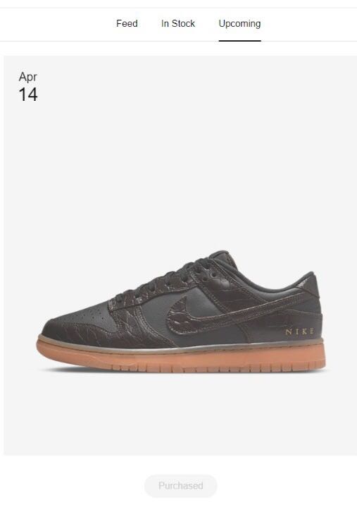 CHEAPEST IN CAROUSELL) Nike Dunk Low - Velvet Brown and Black