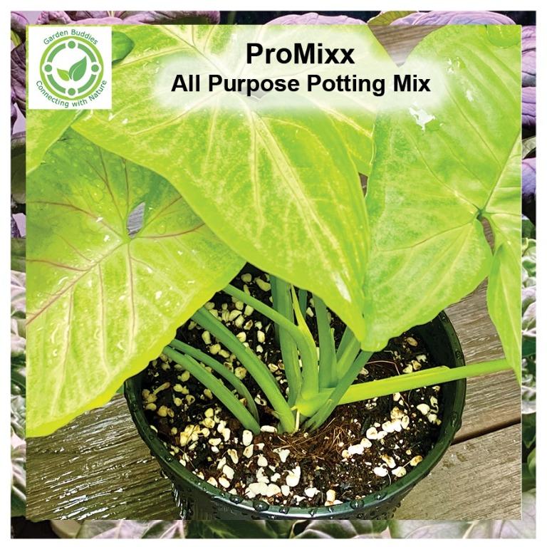Quality All Purpose Potting Mix / Soilless potting mix with compost