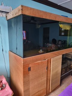 (Category: ) located in . Submitted by pradhan.rajoo (Listing ID 1155181325, Image 1). Description: .